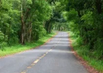 Rota do Queijo Paulista