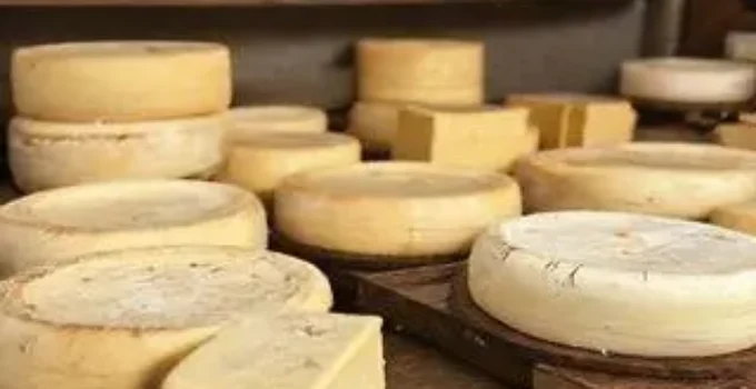 Rotas do Queijo