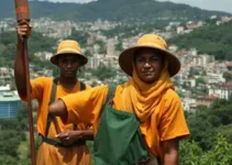 brasileiro preguiçoso