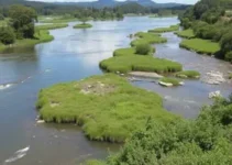 pesquisa sobre o rio Tietê