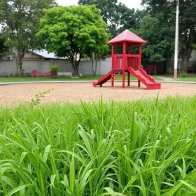 mato alto parquinho Amparo