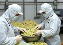 retomada da produção da Ypê