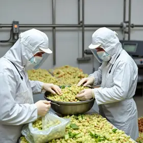 retomada da produção da Ypê