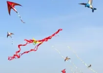 festival de pipas