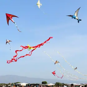 festival de pipas