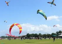 Festival de Pipas