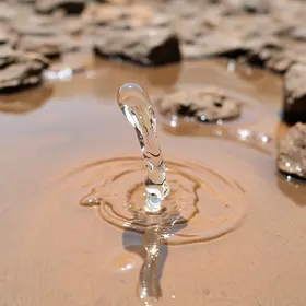 água Mamba Water