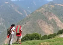 bolsas Fapesp