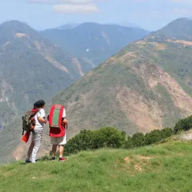 bolsas Fapesp