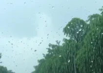 alerta severo de chuva
