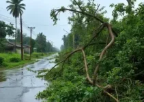 chuva na região de Campinas
